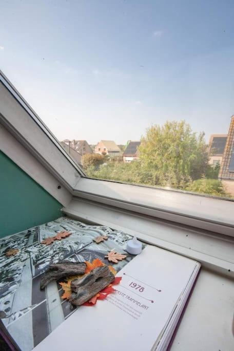 Zalig Cosy Appartement 2-4 Pers.Fietsen & Tuin Де-Хаан Экстерьер фото